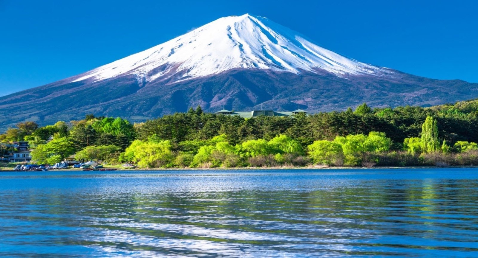 Mount Fuji